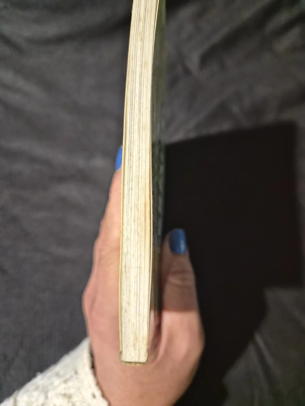 The Berenstain Bear Book